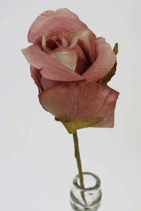 Rose Bud rose pink 4395