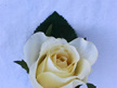 Rose Buttonholes made to suit you