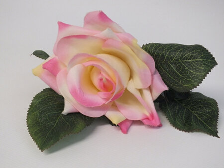 Rose cut stem Pink 4341