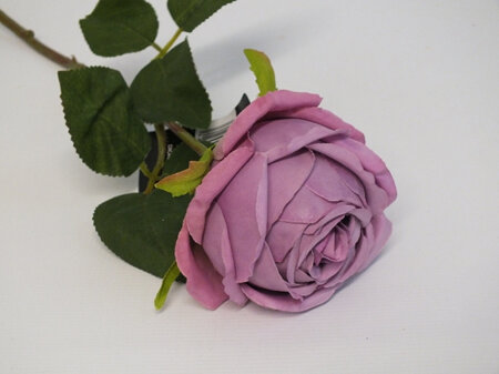 Rose Dior 4356