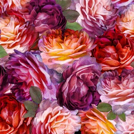 Rose Grace - Packed Roses - Multi