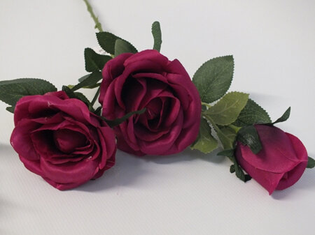 Rose stem 3 flowers Beauty 4336