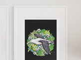 Royal Albatross Art Prints