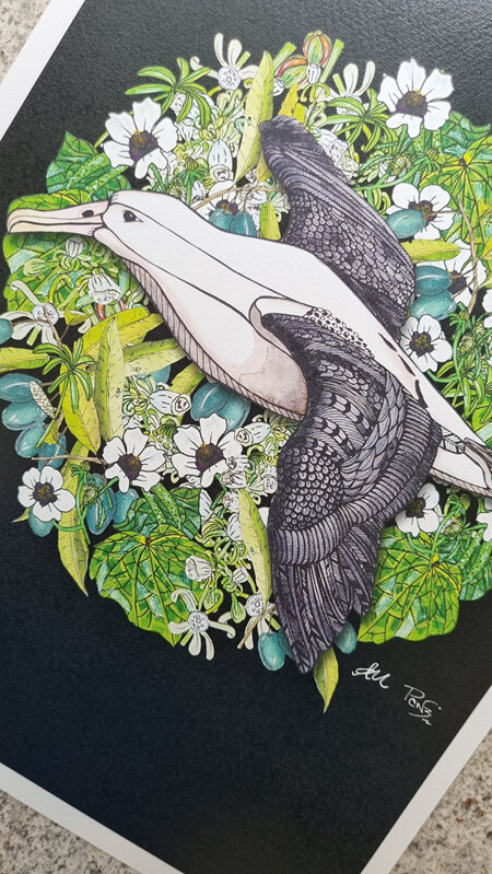 Royal Albatross Art Prints