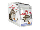 ROYAL CANIN® Ageing 12+ Cat Food Slices in Jelly Wet Cat Food 12 x 85g