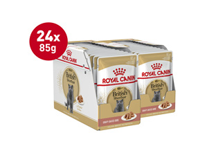 Royal Canin British Shorthair Gravy