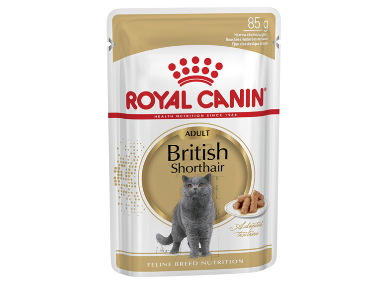 ROYAL CANIN® British Shorthair Gravy Wet Cat Food 12 x 85g