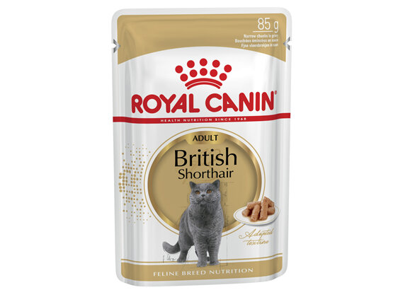 ROYAL CANIN® British Shorthair Gravy Wet Cat Food 12 x 85g