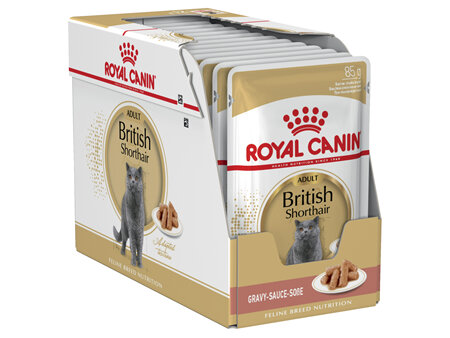 ROYAL CANIN® British Shorthair Gravy Wet Cat Food 12 x 85g