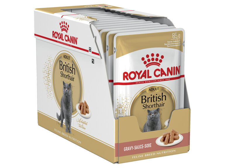 ROYAL CANIN® British Shorthair Gravy Wet Cat Food 12 x 85g