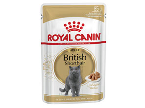 ROYAL CANIN® British Shorthair Gravy Wet Cat Food 12 x 85g