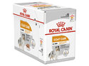 ROYAL CANIN® Coat Care Loaf Wet Dog Food 12 x 85g