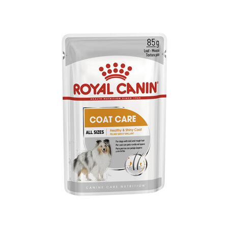 ROYAL CANIN® Coat Care Loaf Wet Dog Food 12 x 85g