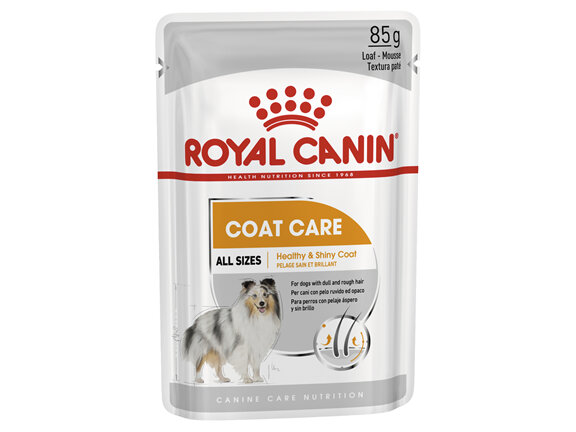 ROYAL CANIN® Coat Care Loaf Wet Dog Food 12 x 85g