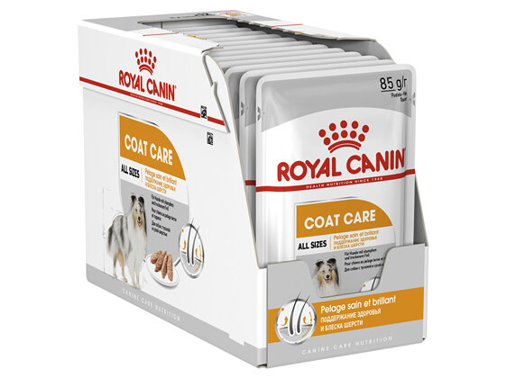 ROYAL CANIN® Coat Care Loaf Wet Dog Food 12 x 85g