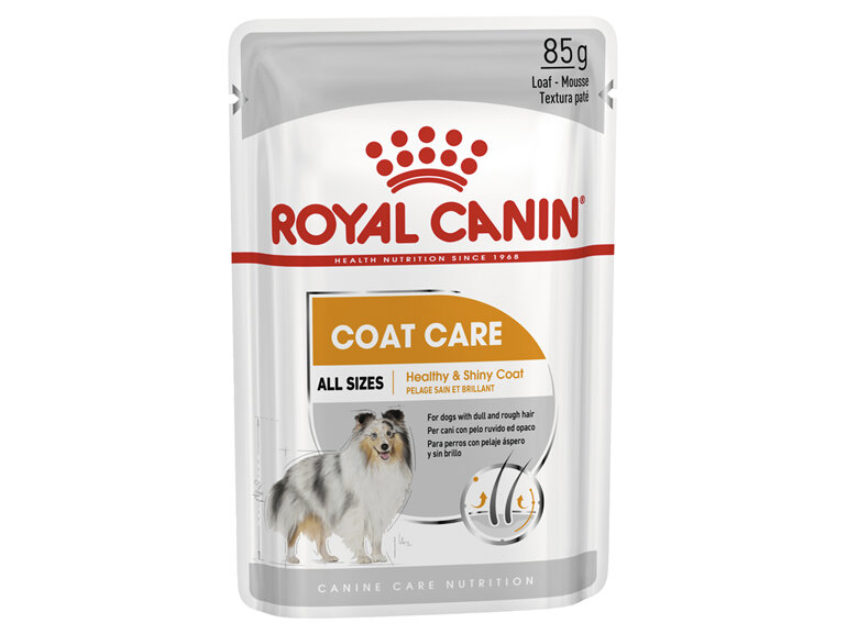 ROYAL CANIN® Coat Care Loaf Wet Dog Food 12 x 85g