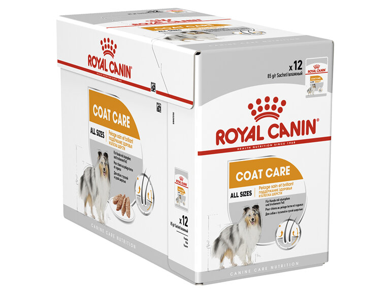 ROYAL CANIN® Coat Care Loaf Wet Dog Food 12 x 85g