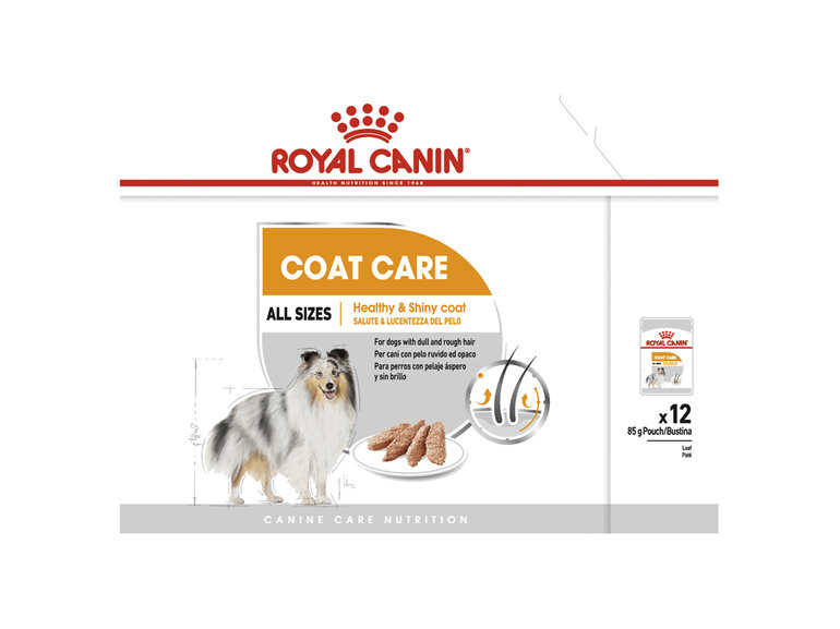 ROYAL CANIN® Coat Care Loaf Wet Dog Food 12 x 85g