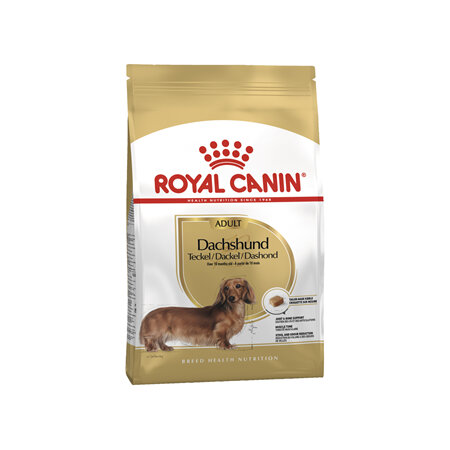 ROYAL CANIN® Dachshund Adult Dry Dog Food