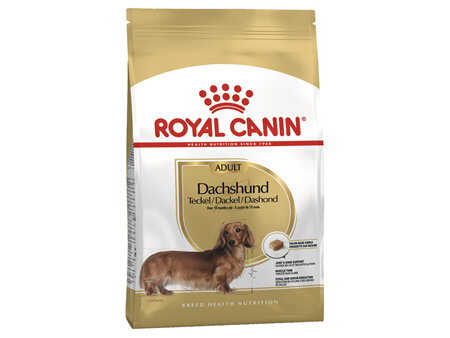 ROYAL CANIN® Dachshund Adult Dry Dog Food