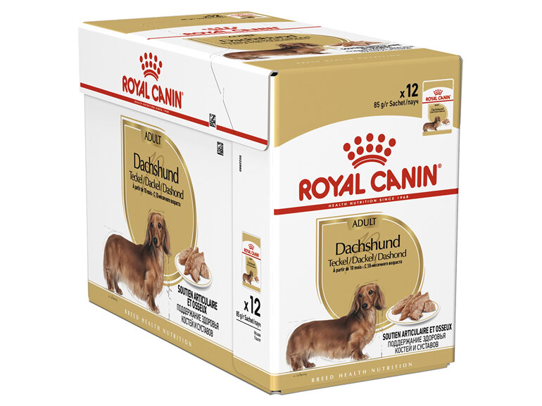 ROYAL CANIN® Dachshund Loaf Wet Dog Food 12 x 85g