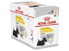 ROYAL CANIN® Dermacomfort Loaf Wet Dog Food 12 x 85g