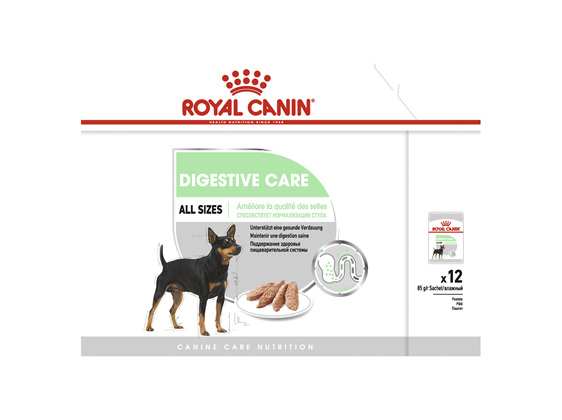 Royal Canin Digestive Care Loaf
