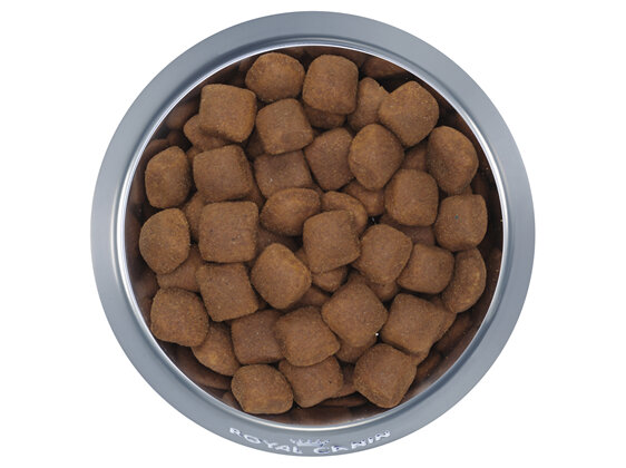 ROYAL CANIN® Giant Adult Dry Dog Food