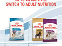 ROYAL CANIN® Giant Junior Dry Dog Food