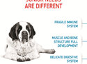 ROYAL CANIN® Giant Junior Dry Dog Food