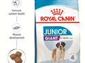 ROYAL CANIN® Giant Junior Dry Dog Food