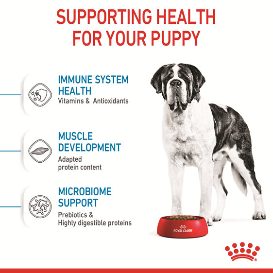 ROYAL CANIN® Giant Junior Dry Dog Food