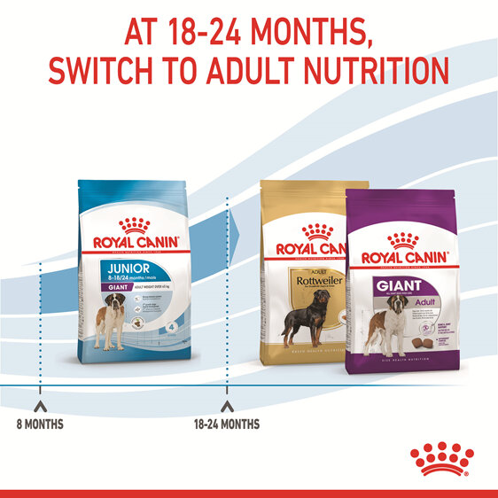 ROYAL CANIN® Giant Junior Dry Dog Food