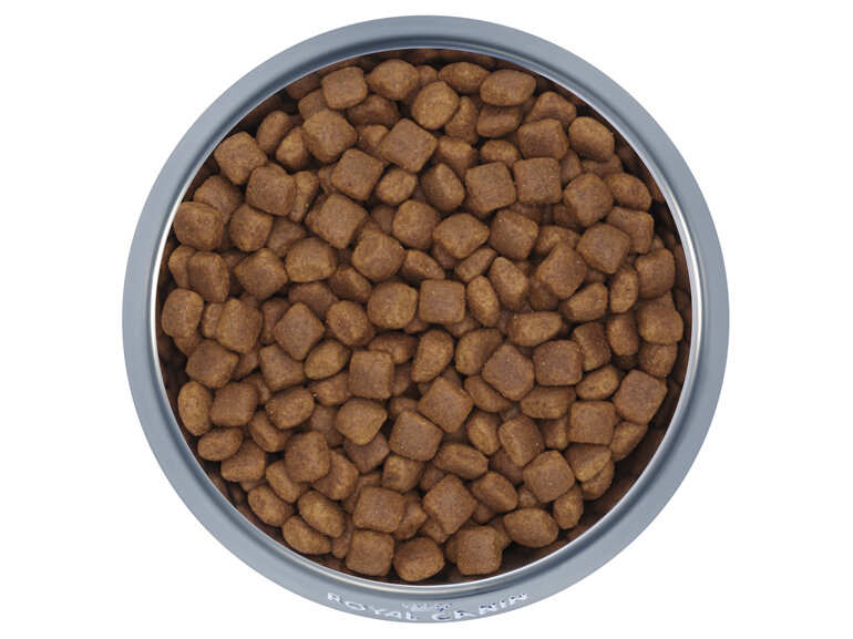 ROYAL CANIN® Giant Junior Dry Dog Food