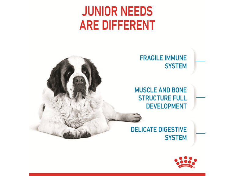 ROYAL CANIN® Giant Junior Dry Dog Food