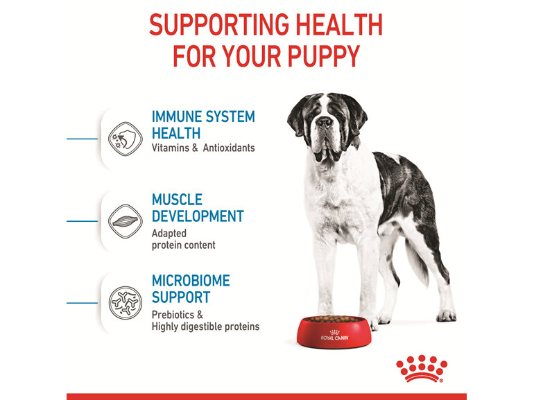 ROYAL CANIN® Giant Junior Dry Dog Food