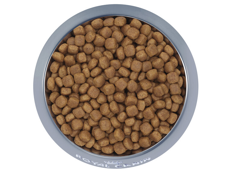 ROYAL CANIN® Giant Puppy Dry Dog Food