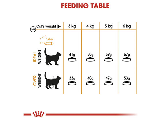 ROYAL CANIN® Hair and Skin Care Dry Cat Food