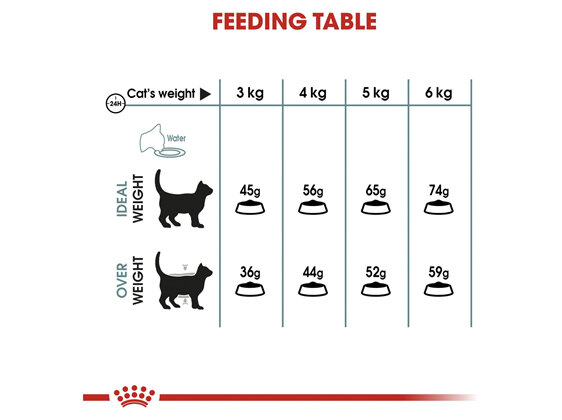 ROYAL CANIN® Hairball Care Dry Cat Food