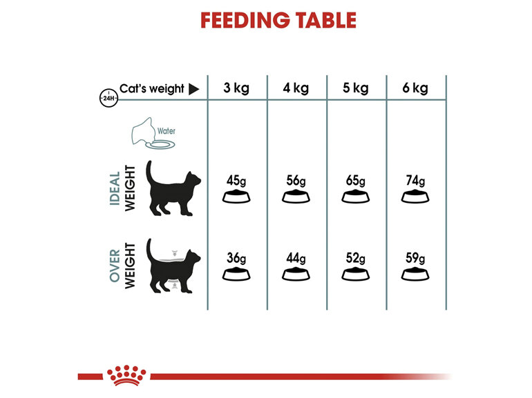 ROYAL CANIN® Hairball Care Dry Cat Food
