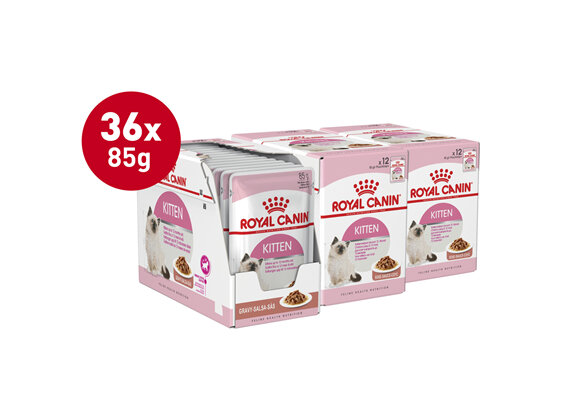 ROYAL CANIN® Kitten Gravy Wet Cat Food Pouches 12 x 85g