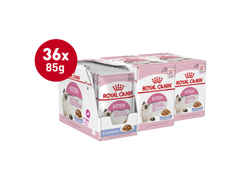 ROYAL CANIN® Kitten Jelly Wet Cat Food Pouches 12 x 85g