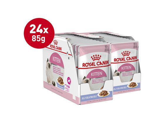 ROYAL CANIN® Kitten Jelly Wet Cat Food Pouches 12 x 85g