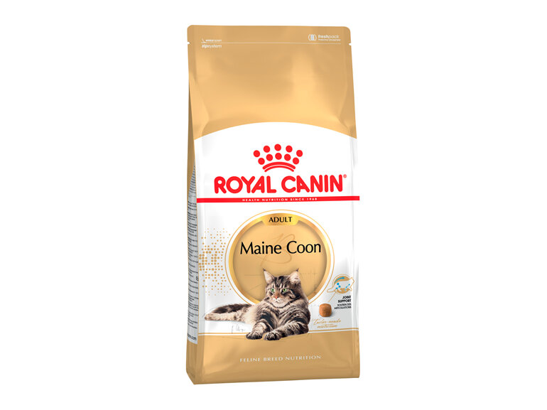 ROYAL CANIN® Maine Coon Adult Dry Cat Food