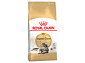 ROYAL CANIN® Maine Coon Breed Adult Dry Cat Food