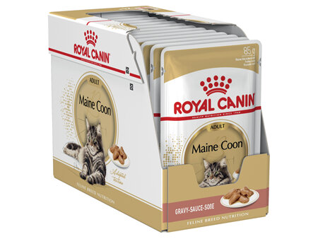 ROYAL CANIN® Maine Coon Gravy Wet Cat Food 12 x 85g