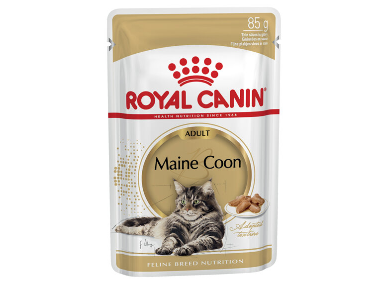 ROYAL CANIN® Maine Coon Gravy Wet Cat Food 12 x 85g