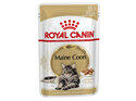 ROYAL CANIN® Maine Coon Gravy Wet Cat Food 12 x 85g