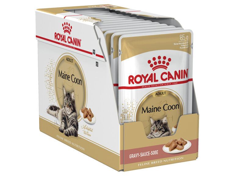 ROYAL CANIN® Maine Coon Gravy Wet Cat Food 12 x 85g