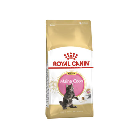 ROYAL CANIN® Maine Coon Kitten Dry Cat Food